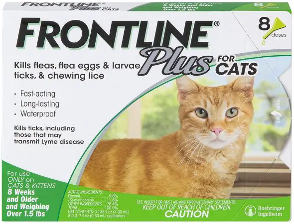 6 Best Flea Treatments for Cats in 2021 - Get Petbox