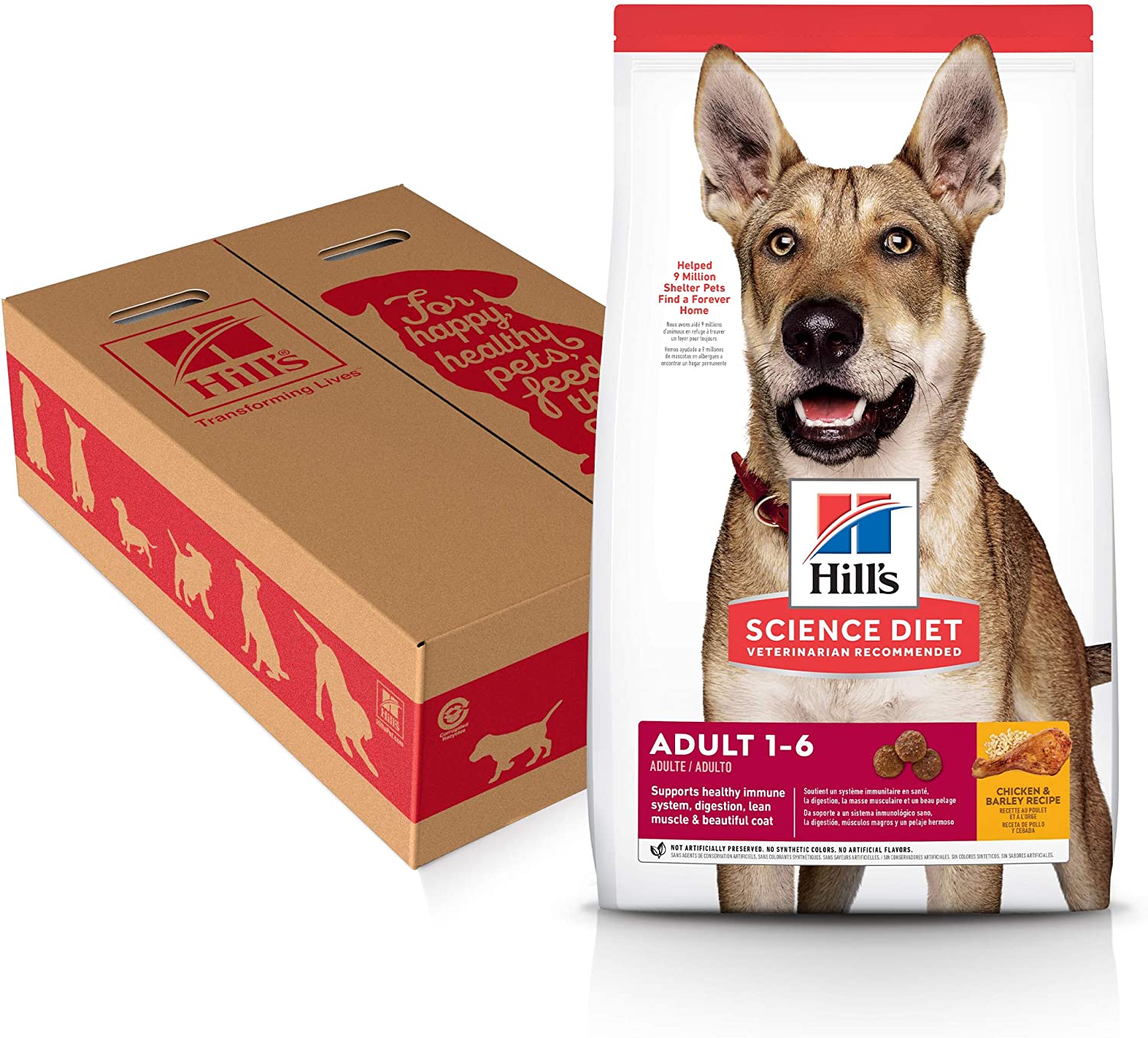 best-budget-friendly-dog-food-in-2021-get-petbox