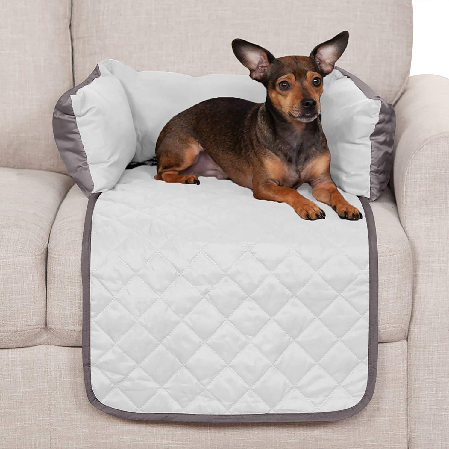 8 Best Dog Couch Covers in 2021 Get Petbox